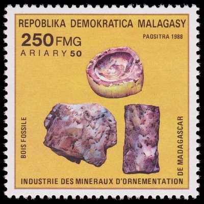 Petrified Wood - Madagascar - 1988 -- 04/02/09