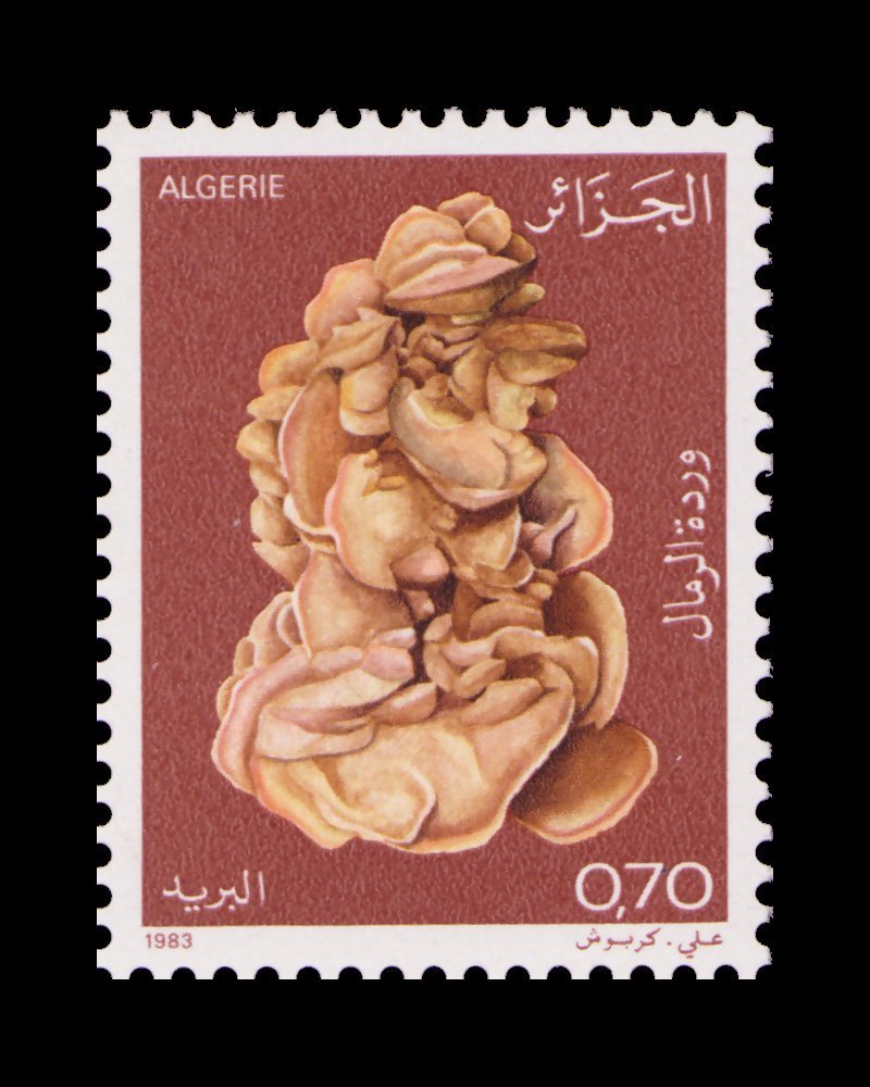 Desert Rose