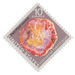 Petrified Wood - United States - 1974 -- 28/09/08